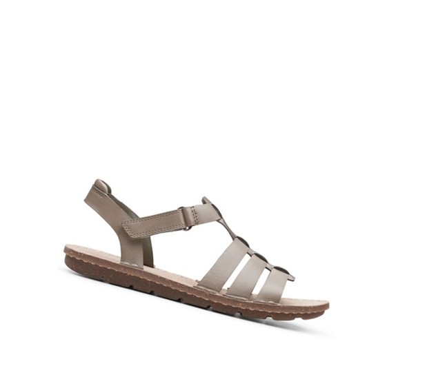 Clarks Blake Jewel Leder Flache Sandalen Damen Olivgrün | LJVI43980