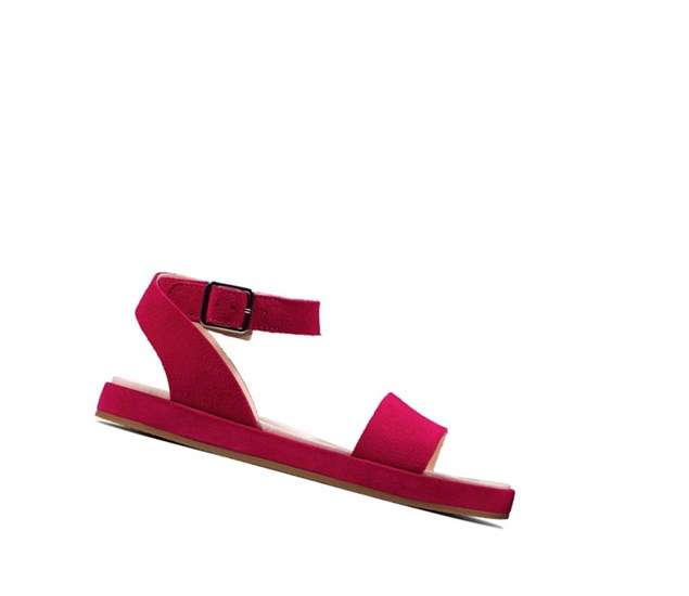 Clarks Botanic Ivy Wildleder Flache Sandalen Damen Fuchsie | FEKB96780