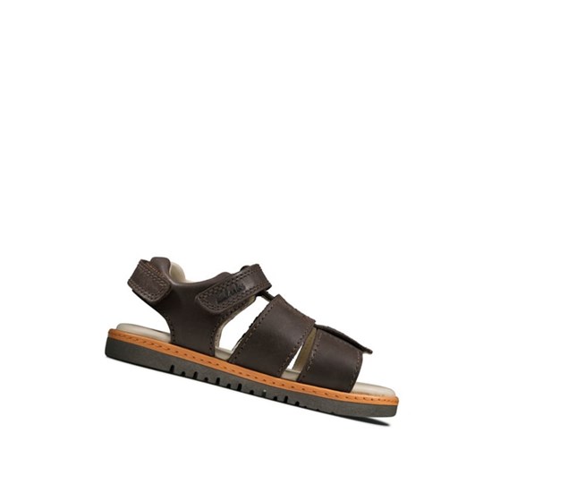 Clarks Frances Tor Leder Lässige Sandalen Jungen Braun | OUAB96523