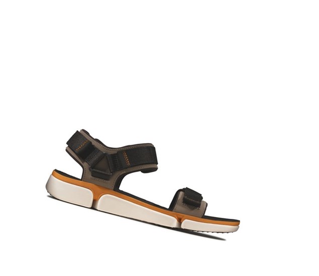 Clarks Tri Cove Trail Leder Lässige Sandalen Herren Olivgrün | QXTV90521