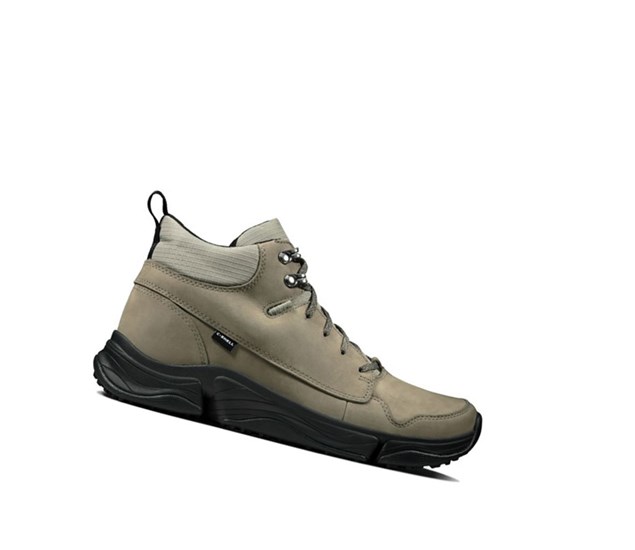 Clarks Tri Path Hike Textil Wanderschuhe Herren Olivgrün | EZNL80153