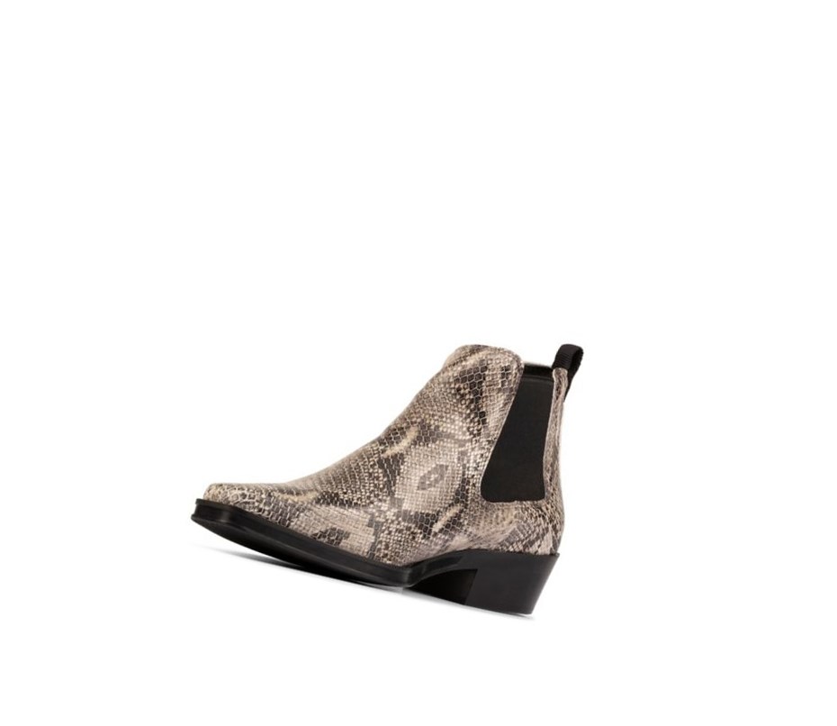 Clarks Alcina Top Leder Chelsea Boots Damen Grau Schlangenoptik | APMS82617