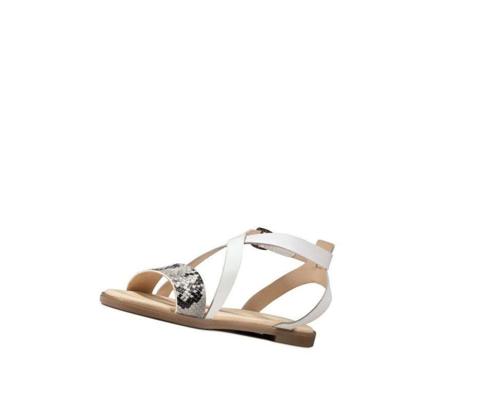 Clarks Bay Rosie Leder Flache Sandalen Damen Grau Schlangenoptik | KPJT52043