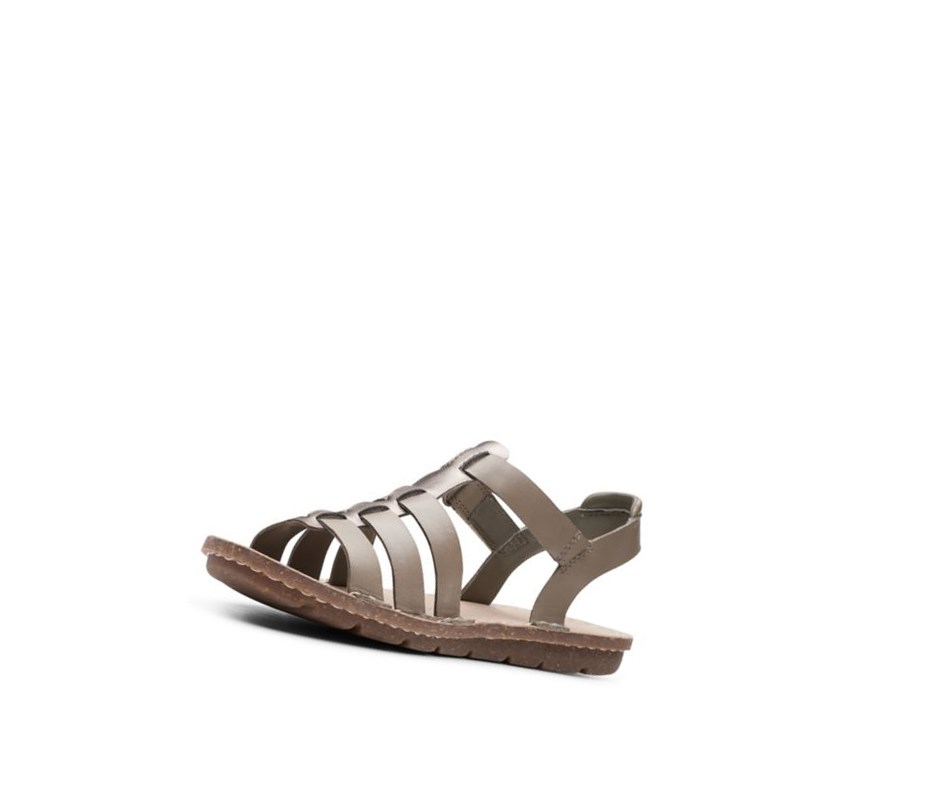 Clarks Blake Jewel Leder Flache Sandalen Damen Olivgrün | LJVI43980