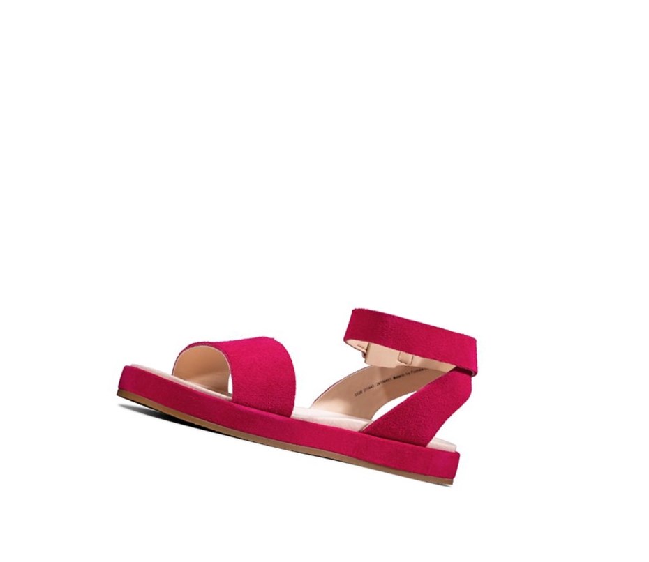 Clarks Botanic Ivy Wildleder Flache Sandalen Damen Fuchsie | FEKB96780
