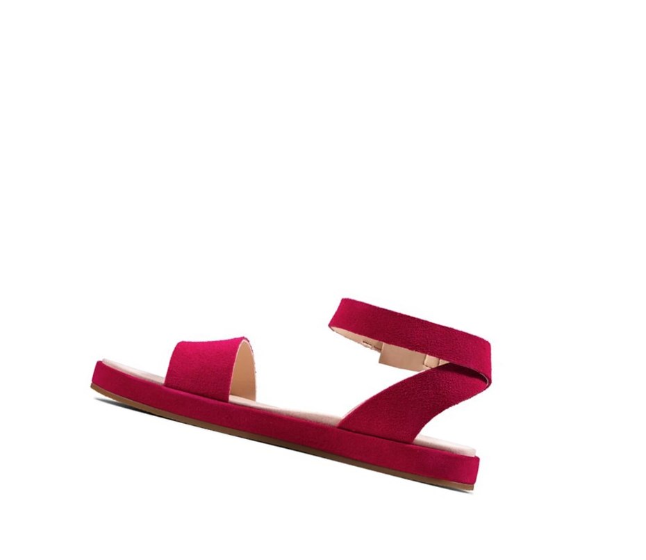 Clarks Botanic Ivy Wildleder Flache Sandalen Damen Fuchsie | FEKB96780