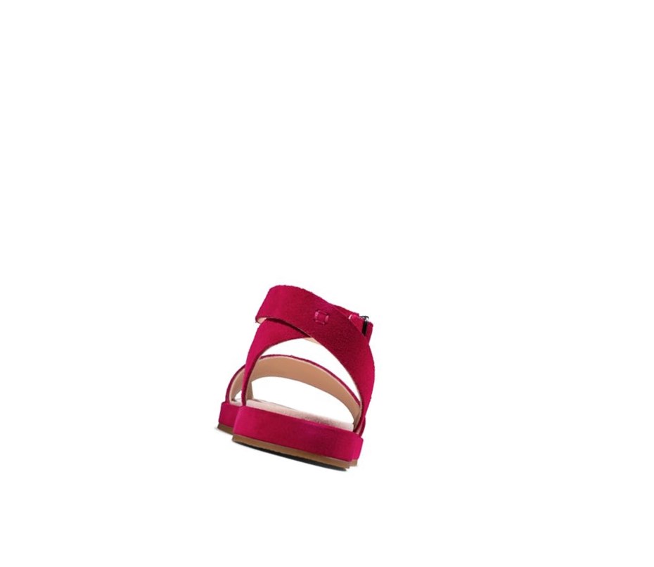 Clarks Botanic Ivy Wildleder Flache Sandalen Damen Fuchsie | FEKB96780