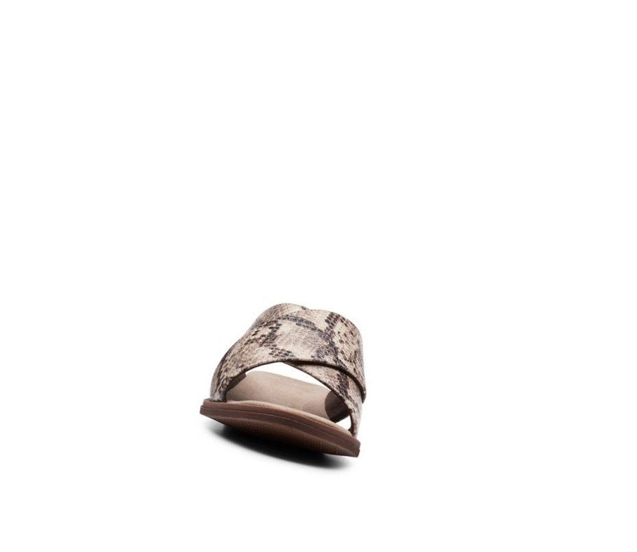 Clarks Declan Ivy Badelatschen Damen Beige Schlangenoptik | WOCN14239