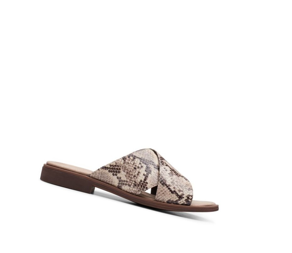 Clarks Declan Ivy Badelatschen Damen Beige Schlangenoptik | WOCN14239