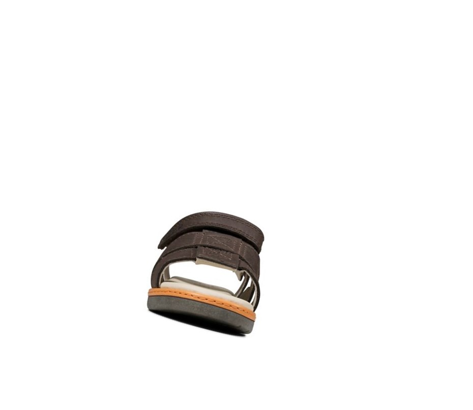 Clarks Frances Tor Leder Lässige Sandalen Jungen Braun | OUAB96523