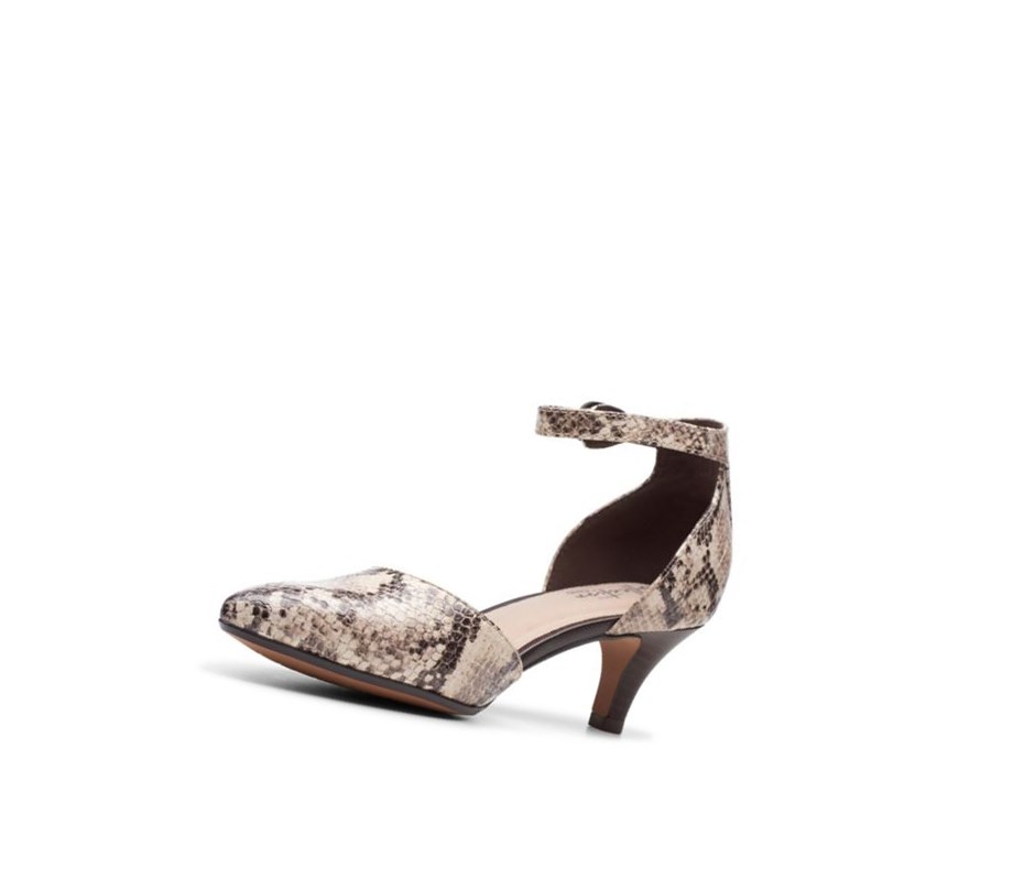 Clarks Linvale Edyth Ballerinas Damen Beige Schlangenoptik | MJZN85132