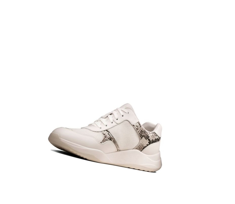 Clarks Sift Spitze Leder Lässige Turnschuhe Damen Grau Schlangenoptik | RYIP38294
