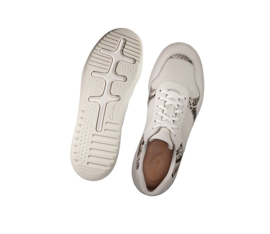 Clarks Sift Spitze Leder Lässige Turnschuhe Damen Grau Schlangenoptik | RYIP38294