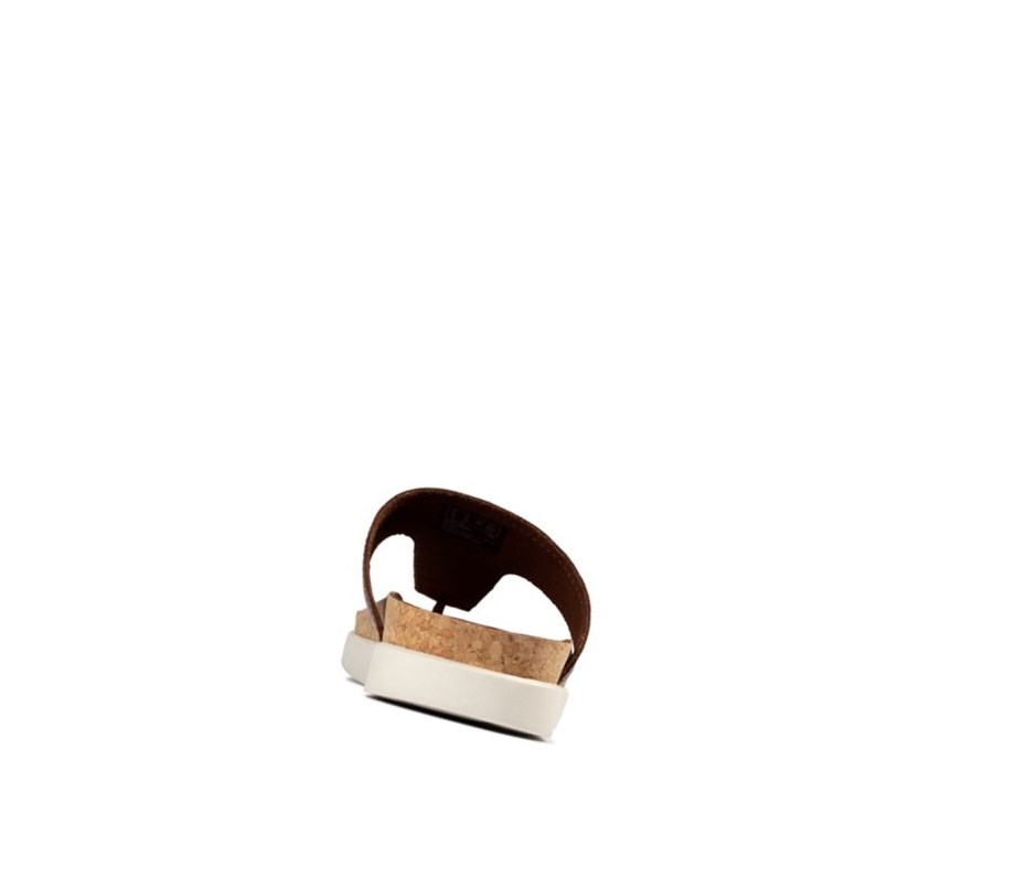 Clarks Sunder Post Leder Lässige Sandalen Herren Braun | ZRDP39164
