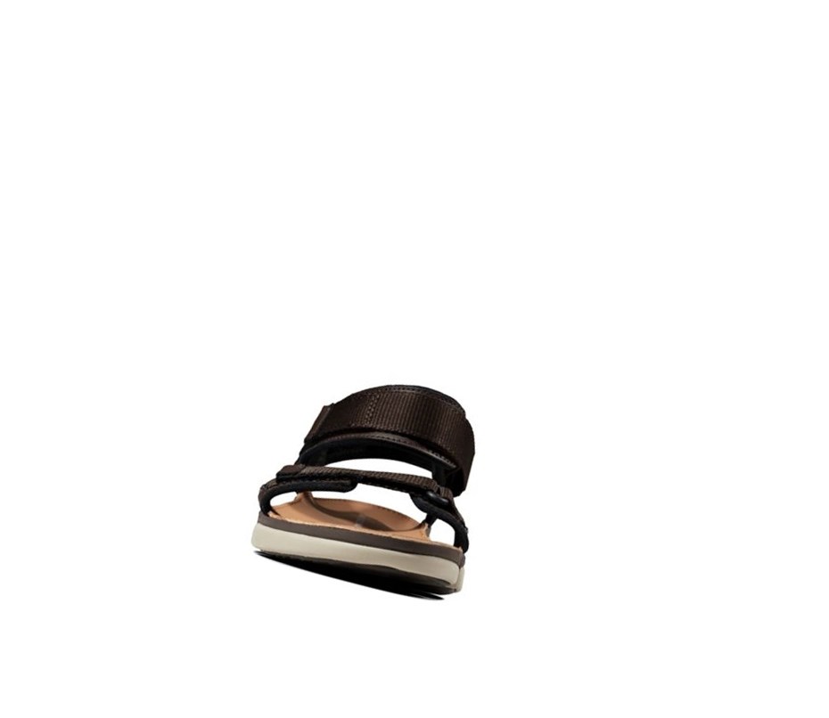 Clarks Tri Cove Trail Leder Lässige Sandalen Herren Dunkelbraun | DFLG34671