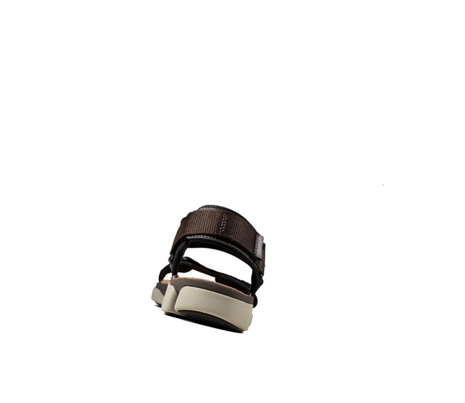 Clarks Tri Cove Trail Leder Lässige Sandalen Herren Dunkelbraun | DFLG34671