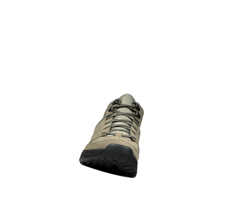 Clarks Tri Path Hike Textil Wanderschuhe Herren Olivgrün | EZNL80153