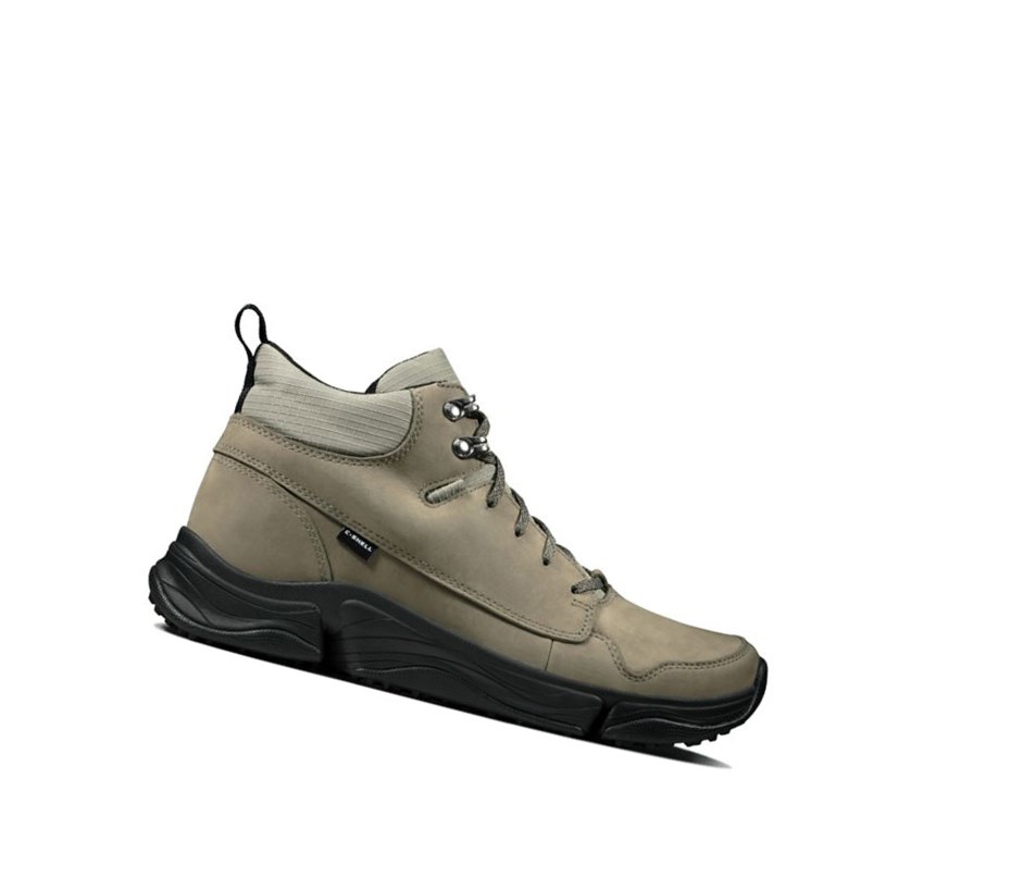 Clarks Tri Path Hike Textil Wanderschuhe Herren Olivgrün | EZNL80153