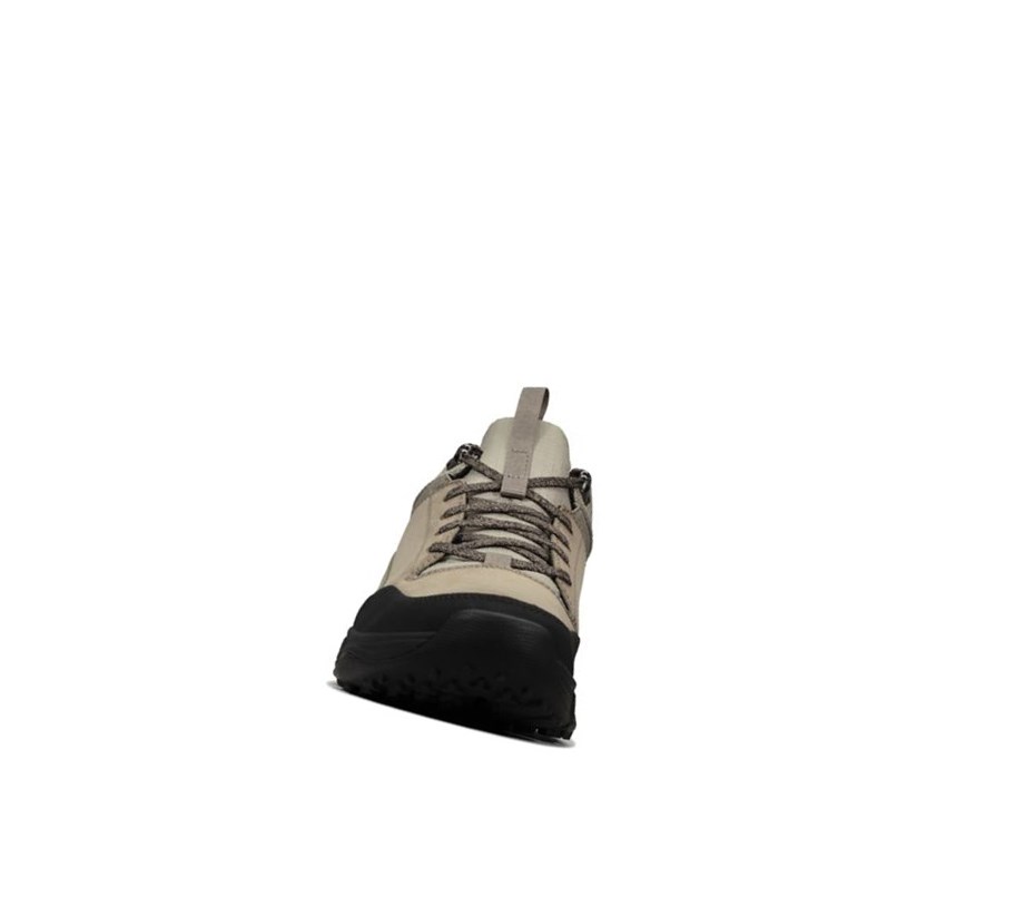 Clarks Tri Path Walk Textil Sneakers Herren Olivgrün | JCBZ69502