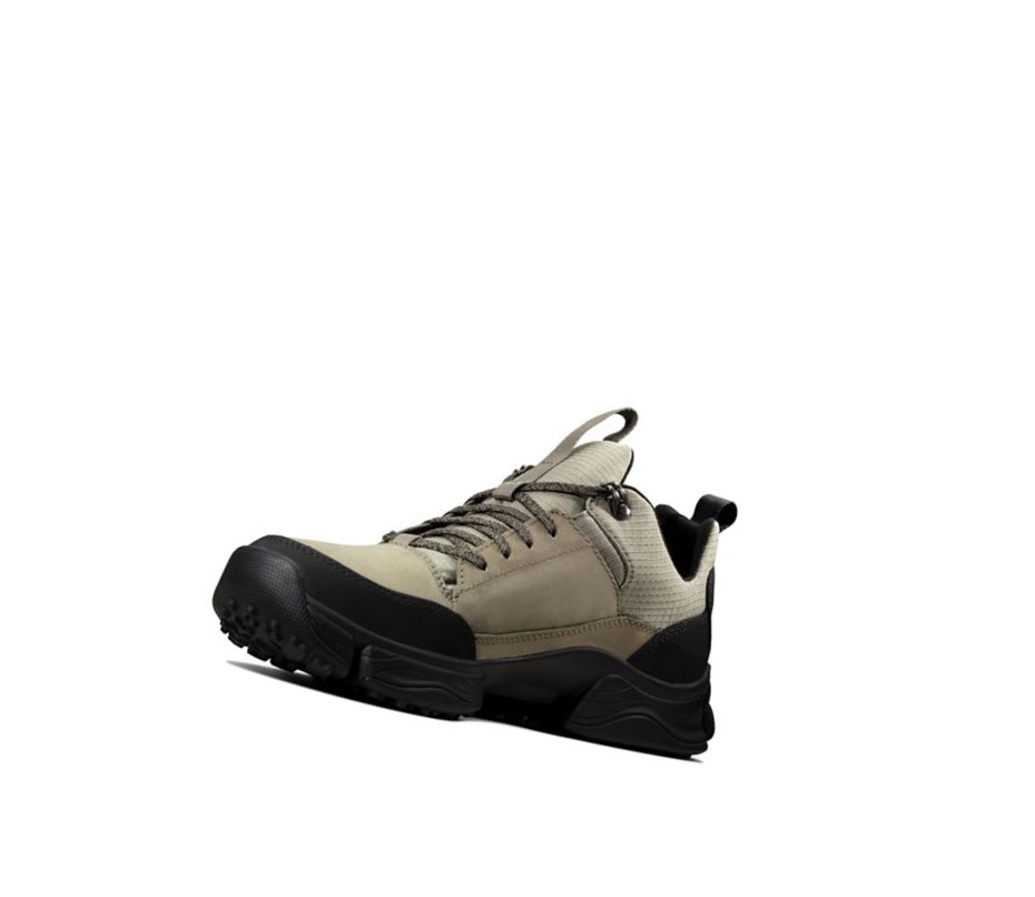 Clarks Tri Path Walk Textil Sneakers Herren Olivgrün | JCBZ69502