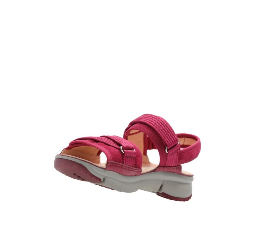 Clarks Tri Walk Wildleder Flache Sandalen Damen Bordeaux | DQIK23419