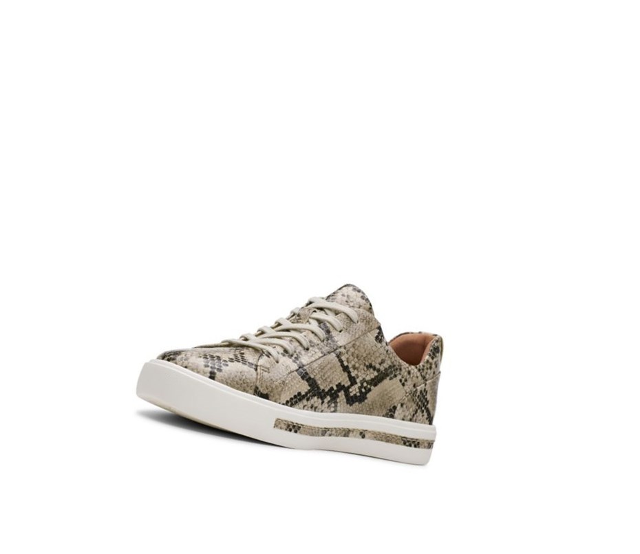 Clarks Un Maui Spitze Leder Sneakers Damen Beige Schlangenoptik | AHTW49268