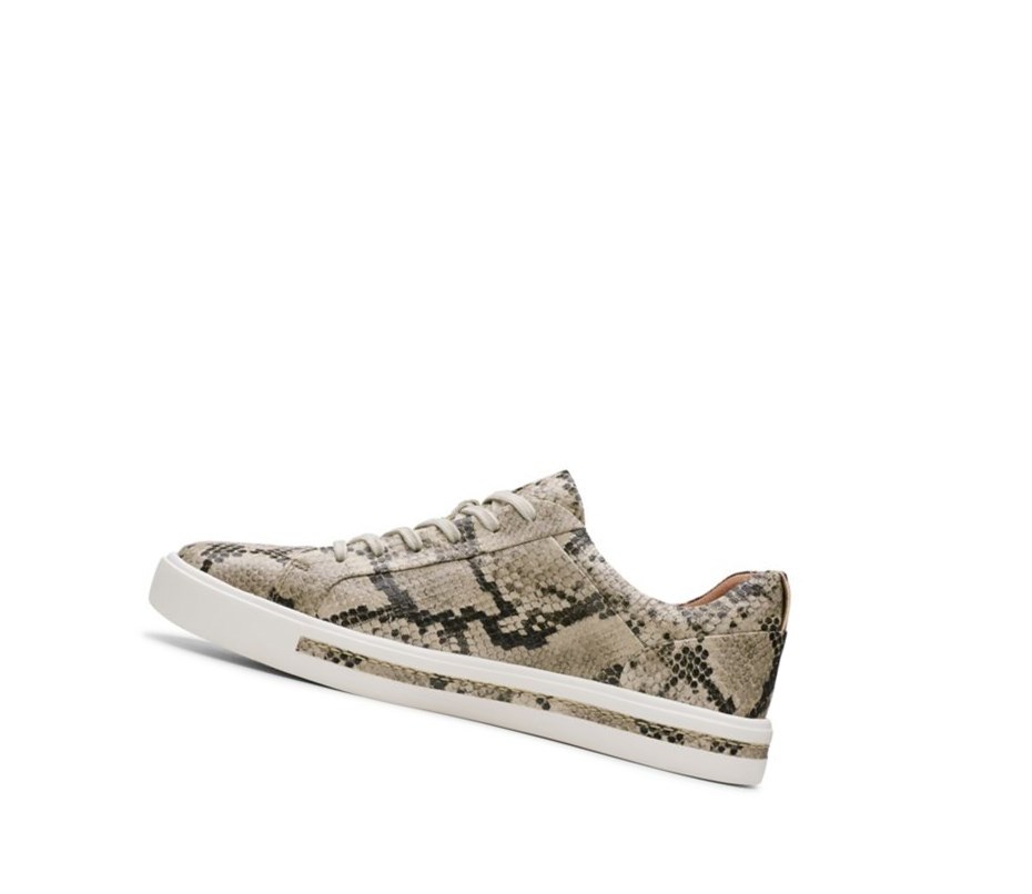Clarks Un Maui Spitze Leder Sneakers Damen Beige Schlangenoptik | AHTW49268