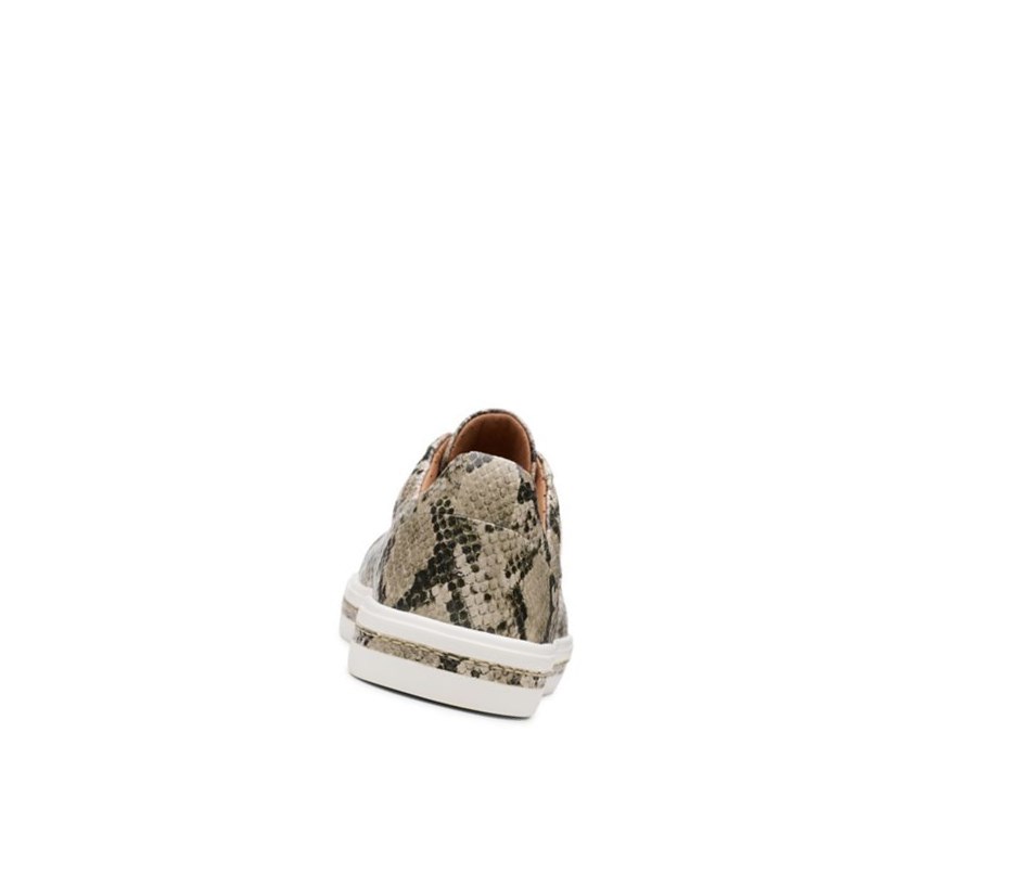 Clarks Un Maui Spitze Leder Sneakers Damen Beige Schlangenoptik | AHTW49268